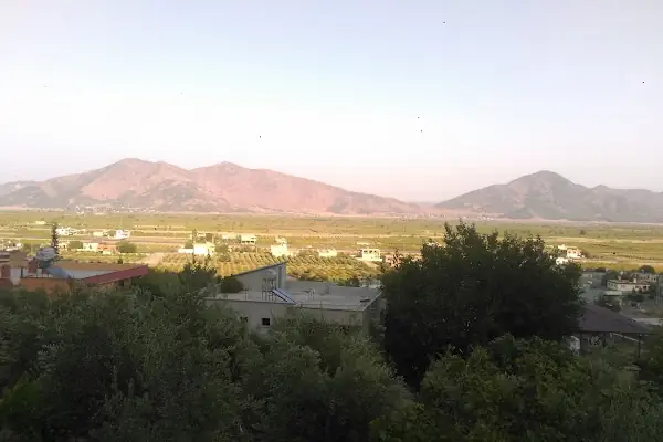 Altınüzüm
