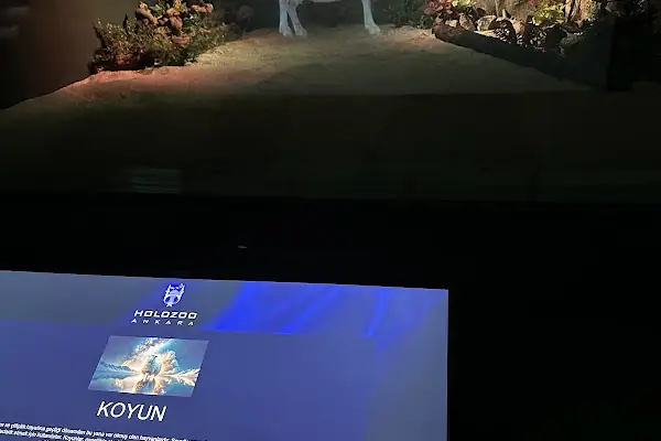 Digital Hayvanat Bahçesi Araç Girişi