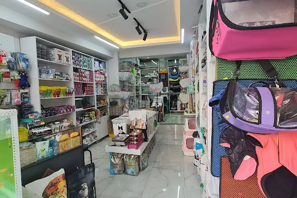 Gürsu Petshop