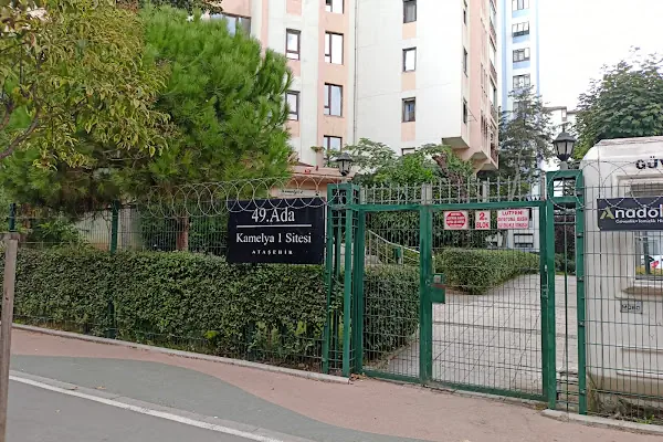 İlk Psikolojik Danışmanlık