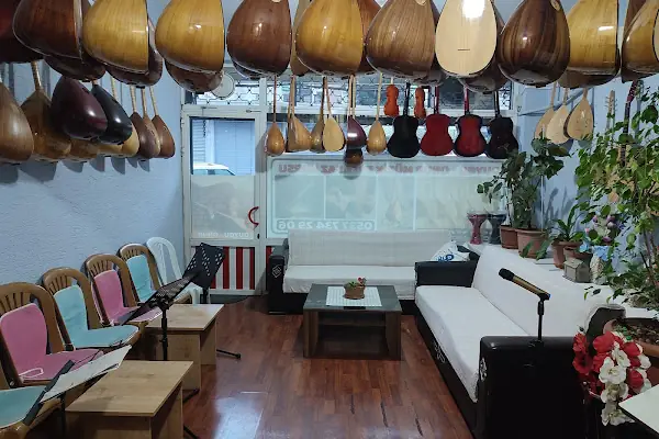 Duygu Onur Müzik Evi Saz Kursu