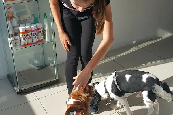 Pruva Veteriner Kliniği
