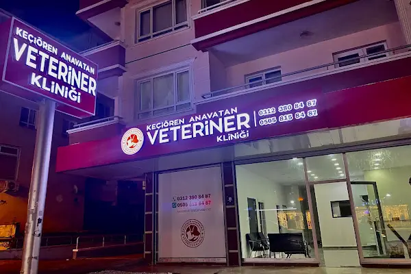Keçiören Anavatan Veteriner Kliniği