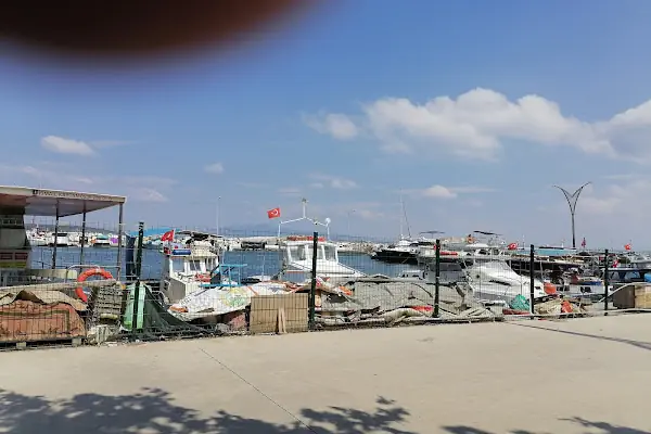 Aliağa Liman