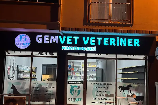GEMVET VETERİNER