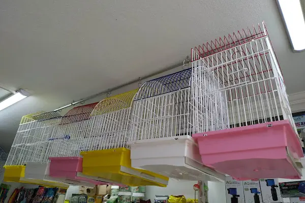 Düşler petshop