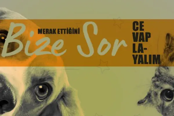 Atlas Veteriner Kliniği
