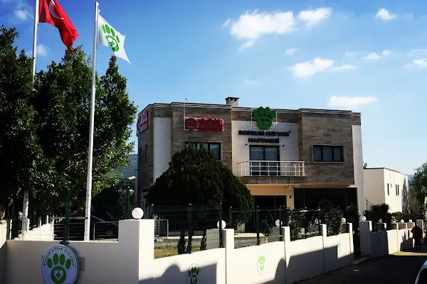 BODRUM HAYVAN HASTANESİ