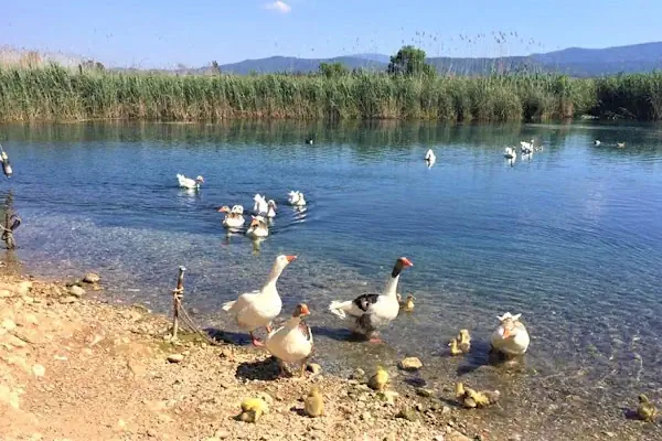 Kuş Cenneti Milli Parkı