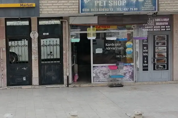 Kardeşler Akvaryum Pet Shop