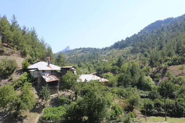 Akkaya
