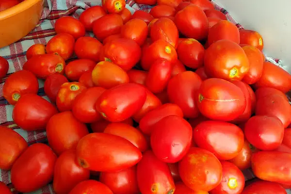 Merve Market