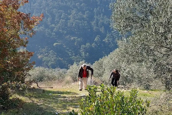 Söğütören İlkokulu
