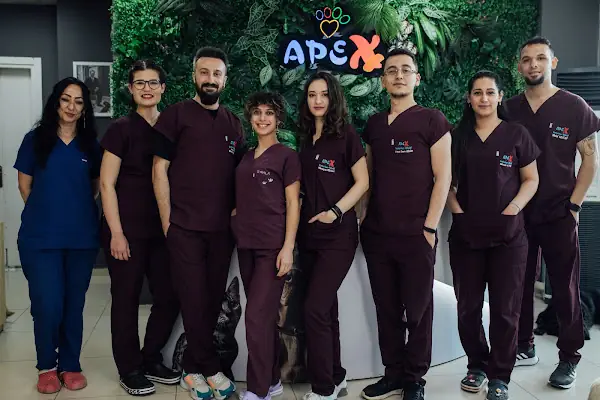 Apex Veteriner Kliniği