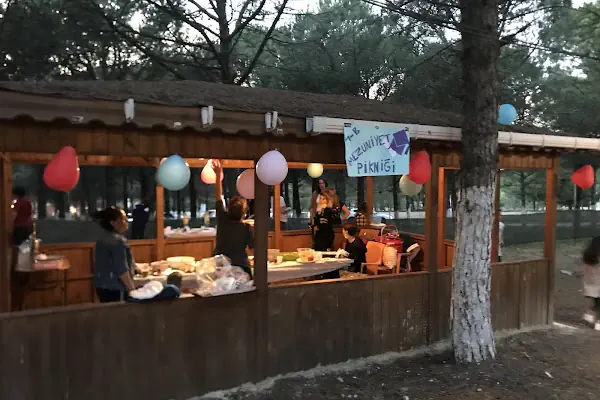 Dağ Evi Mangal Kuzu Çevirme