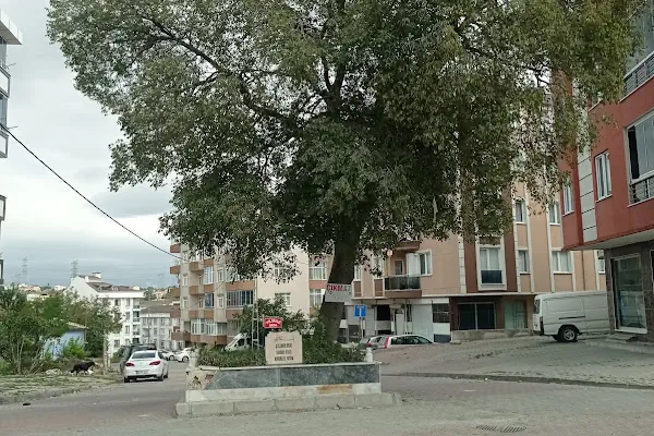 Çitlenbik (Hasan) Dede türbesi