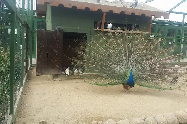 Tekirdağ Çorlu Hayvanat Bahçesi