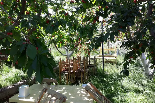 Yoldaşlar Restaurant Ovacık
