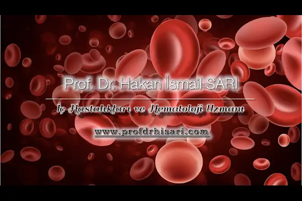Prof. Dr. Hakan İsmail SARI
