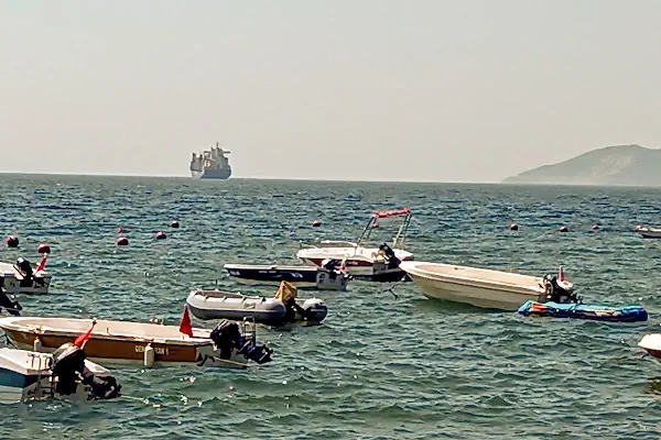 Yurtiçi Kargo Zeytin