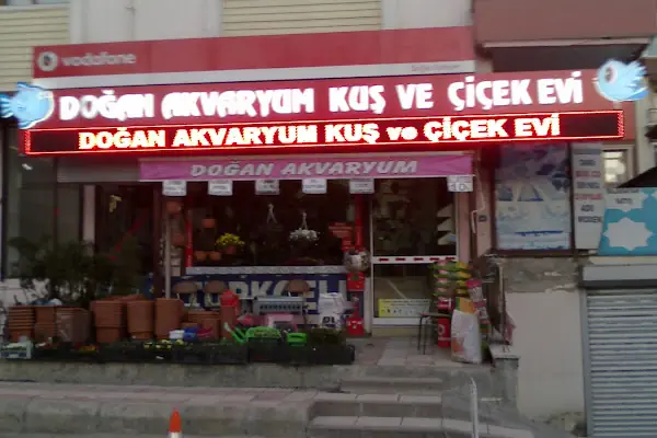 Doğan Akvaryum Kuş ve Çiçek evi