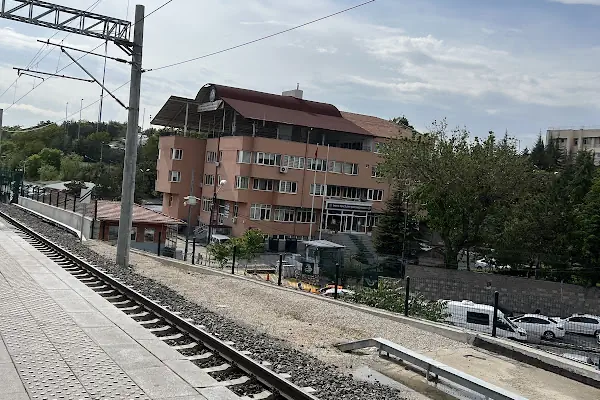 Kurtuluş