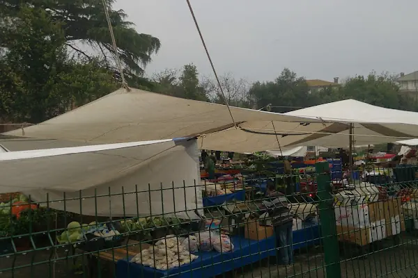 Merkez Halk Pazarı