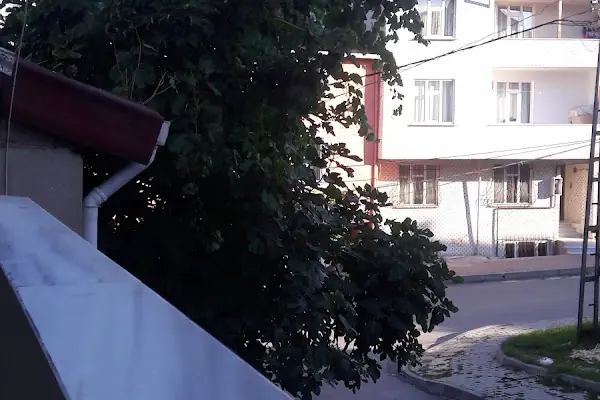 Zengin süpermarket