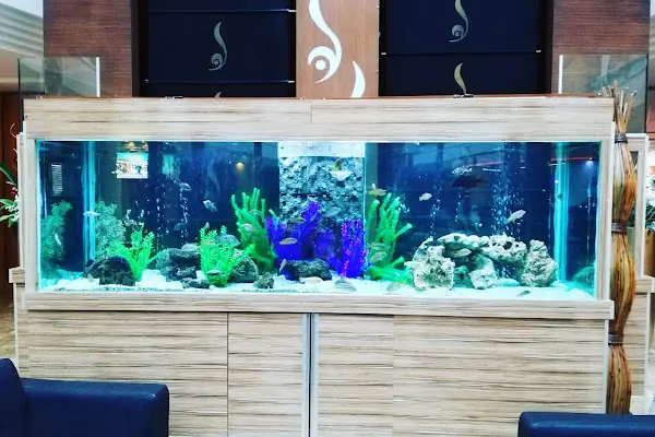 Vatos's Akvaryum Petshop