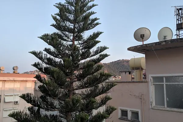 Luxor Apart Otel