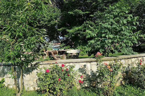 Çocuk Parkı