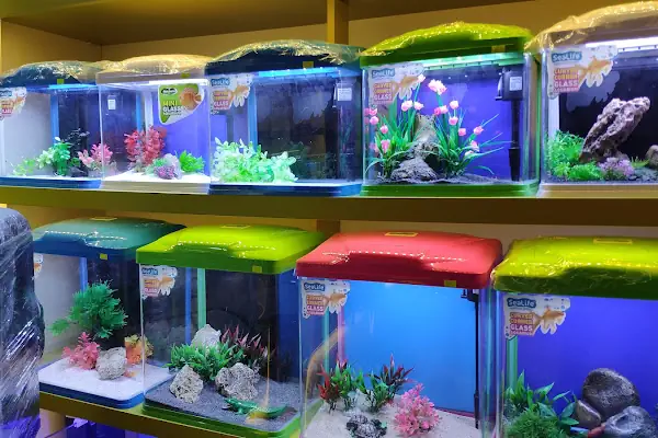 Safari Pet Shop