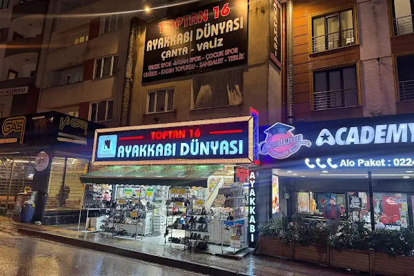 TOPTAN 16 AYAKKABI DÜNYASI