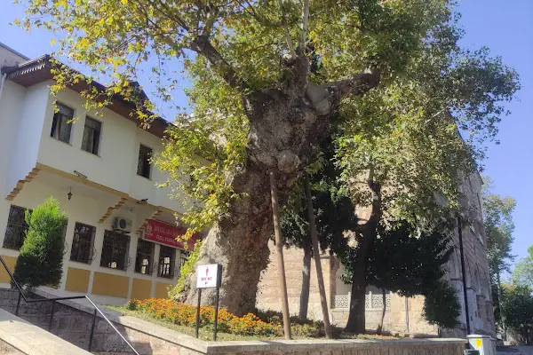 Özhayat Otel