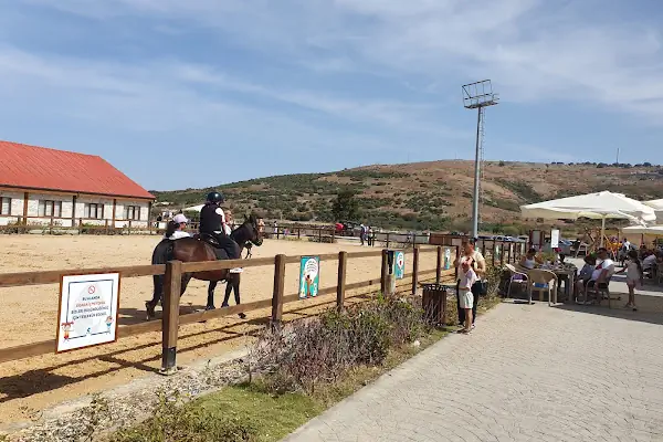 Aliapark Atla Terapi ve Hippoterapi Merkezi