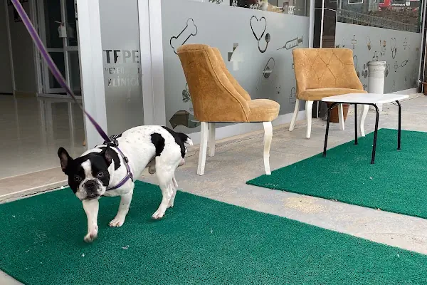Çerkezköy Tepe Veteriner Kliniği