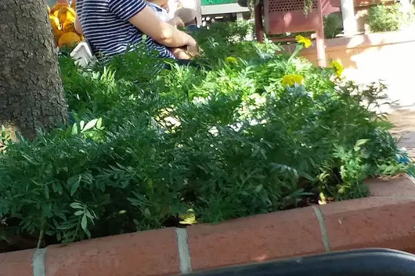 Akşehir Unlu Mamulleri