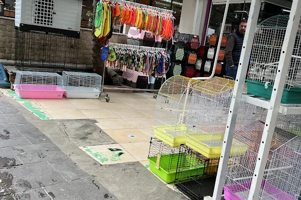 Selanik Pet Shop