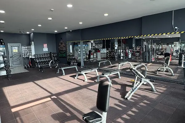 Flex Fitness