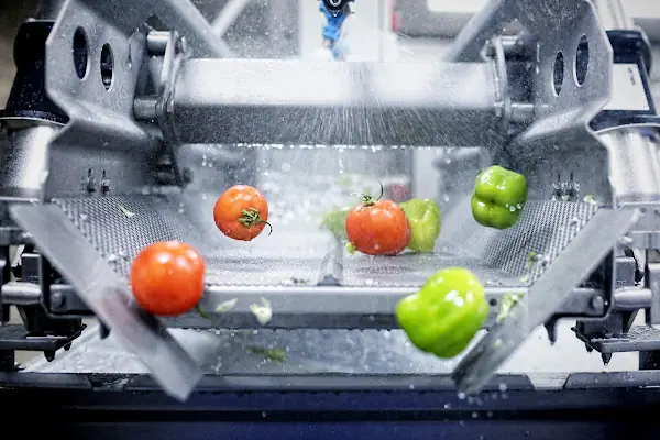 Bursa Safran Yemek