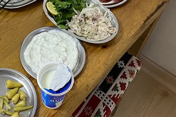 Ciğerci Fevzi Usta