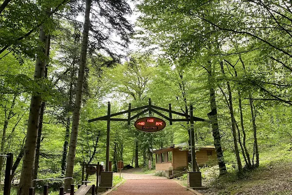 Belgrad Ormanı yürüyüş parkuru
