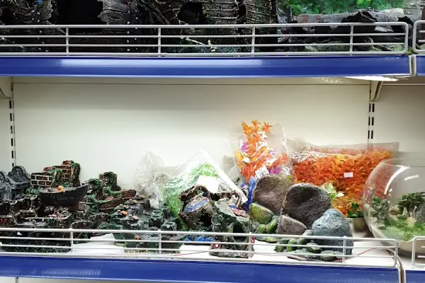 Baracuda Pet Shop