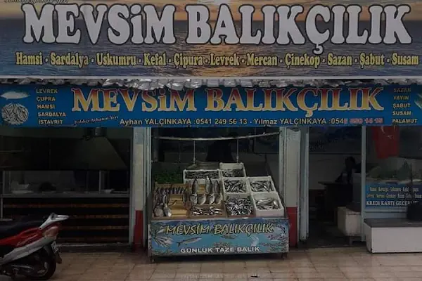 Mevsim Balıkçılık