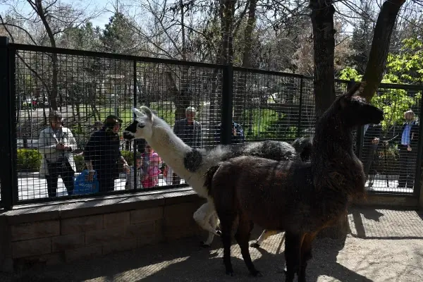 Keçiören Evcil Hayvanlar Parkı