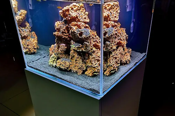 Ortadoğu Akvaryum ve Pet Shop