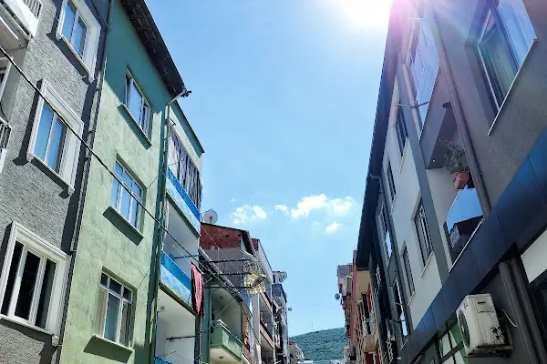 Aras Kargo Gemlik Şubesi