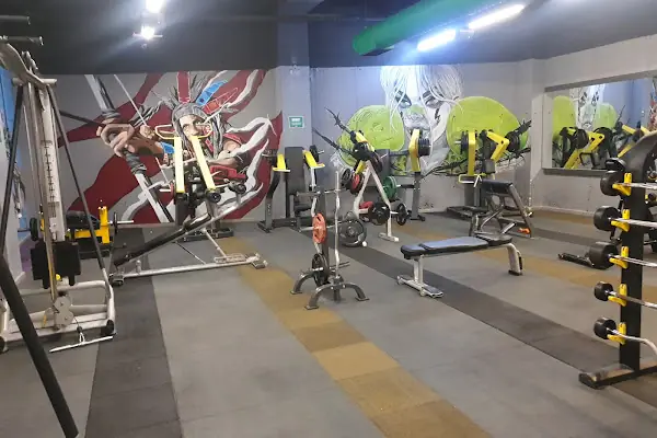 MD Fitness Club | Konya Spor Salonu | Bosna Spor Merkezi