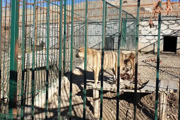 At Çiftliği Hayvanat Bahçesi