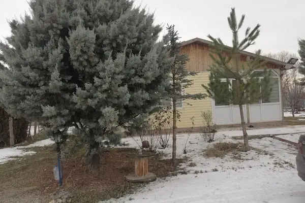 Büğdüz